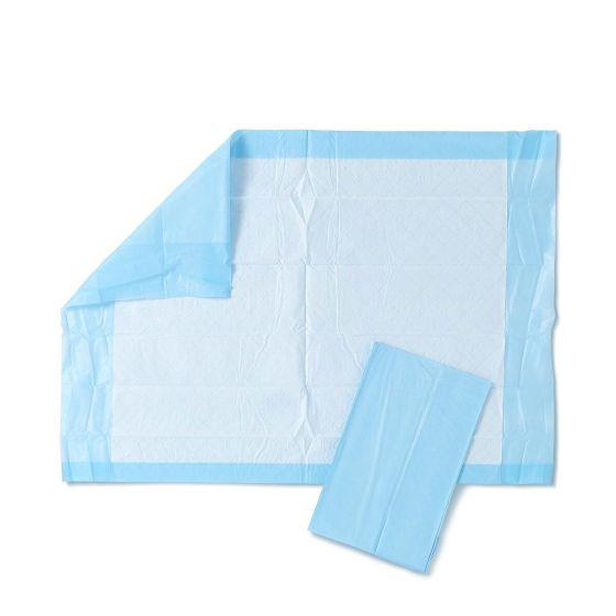 Absorbency Plus Underpad 17X24 IN White Blue PP 25 Count/Pack 12 Packs/Case