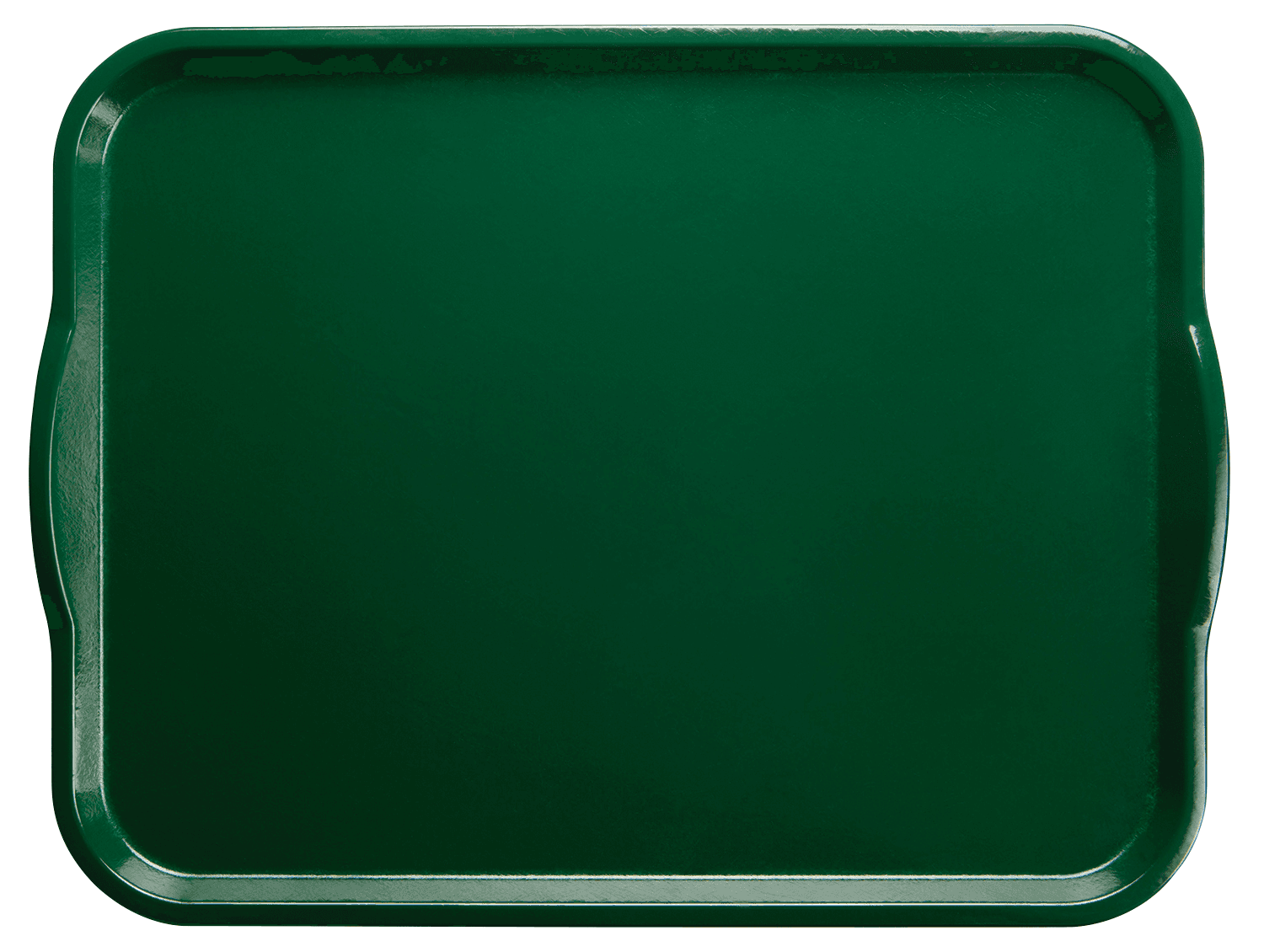 Camtray® Tray 15X20 IN Sherwood Green Rectangle With Handle 12/Case