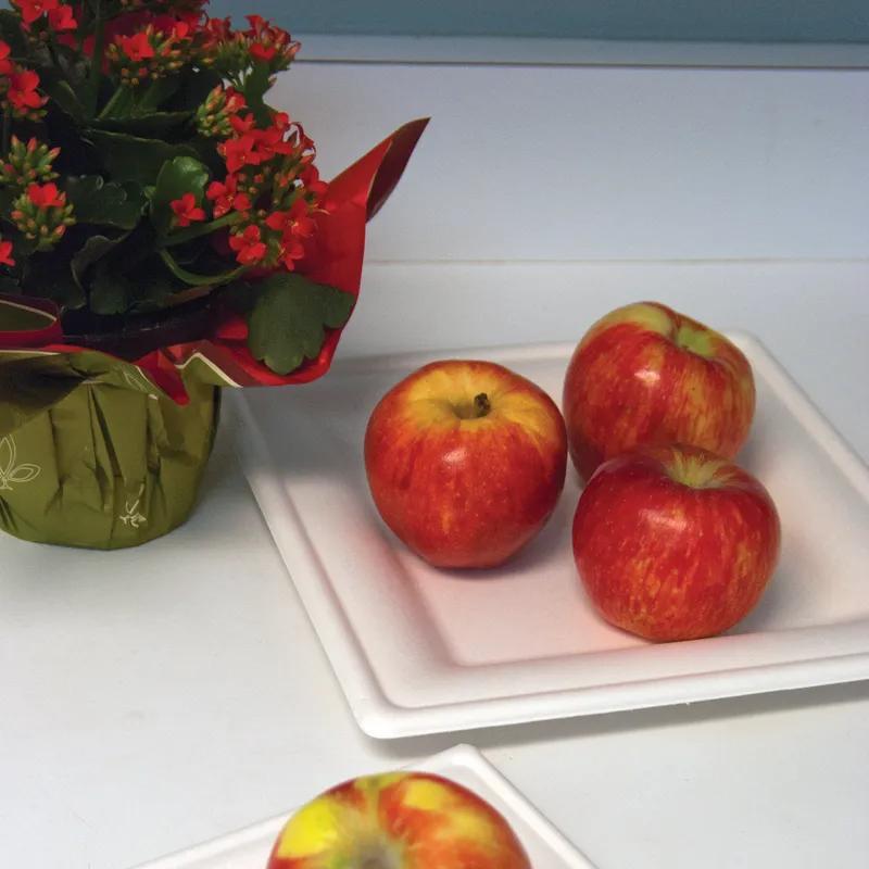 Plate 8X8X1.5 IN Sugarcane White Square 500/Case