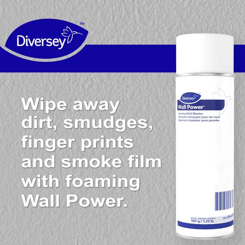 Wall Power® Floral Wall Cleaner 20 OZ Aerosol RTU Foam 1/Each