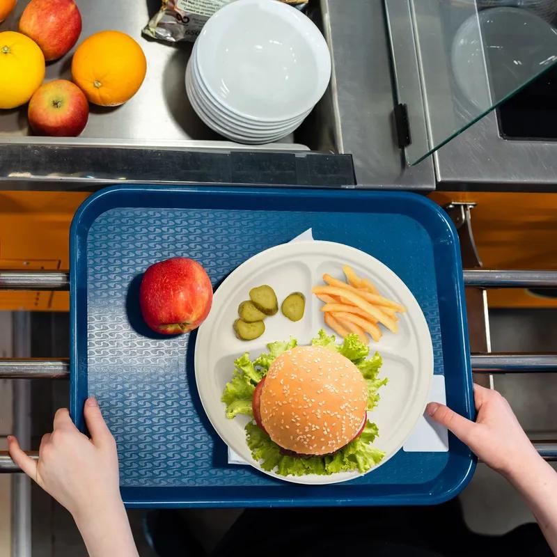 Dart® Plate 10.2X0.98 IN 3 Compartment Fiber White Round 125 Count/Bag 4 Bags/Case 500 Count/Case