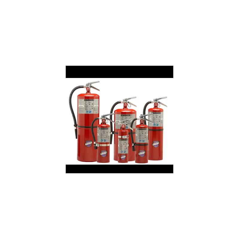 Fire Extinguisher 10 LB ABC Tall 1/Each