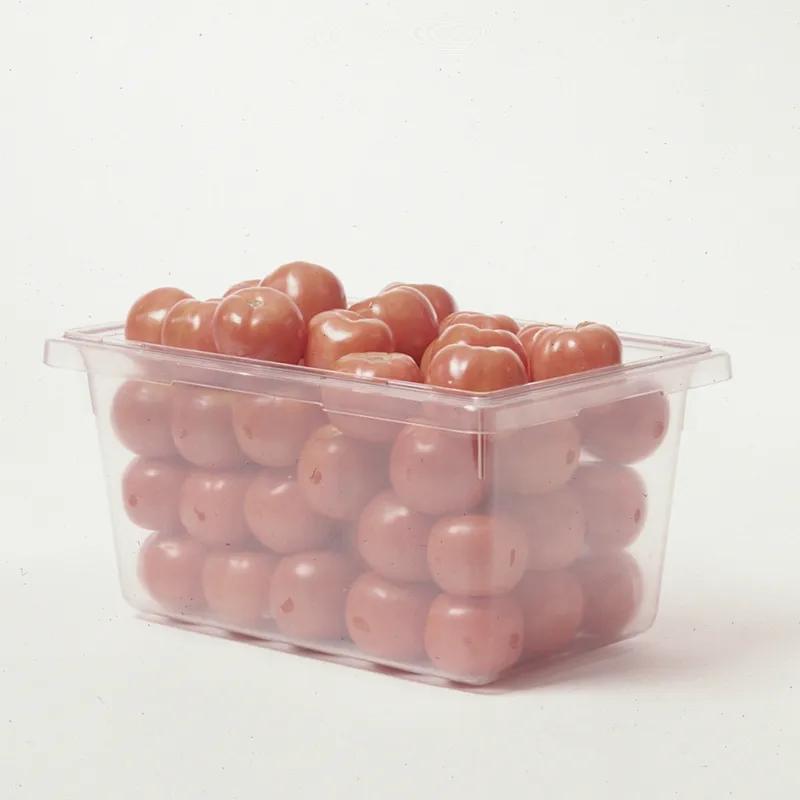 Food Storage Tote Box 26X18X3.50 IN 5 GAL Clear PC Food Safe 6/Each