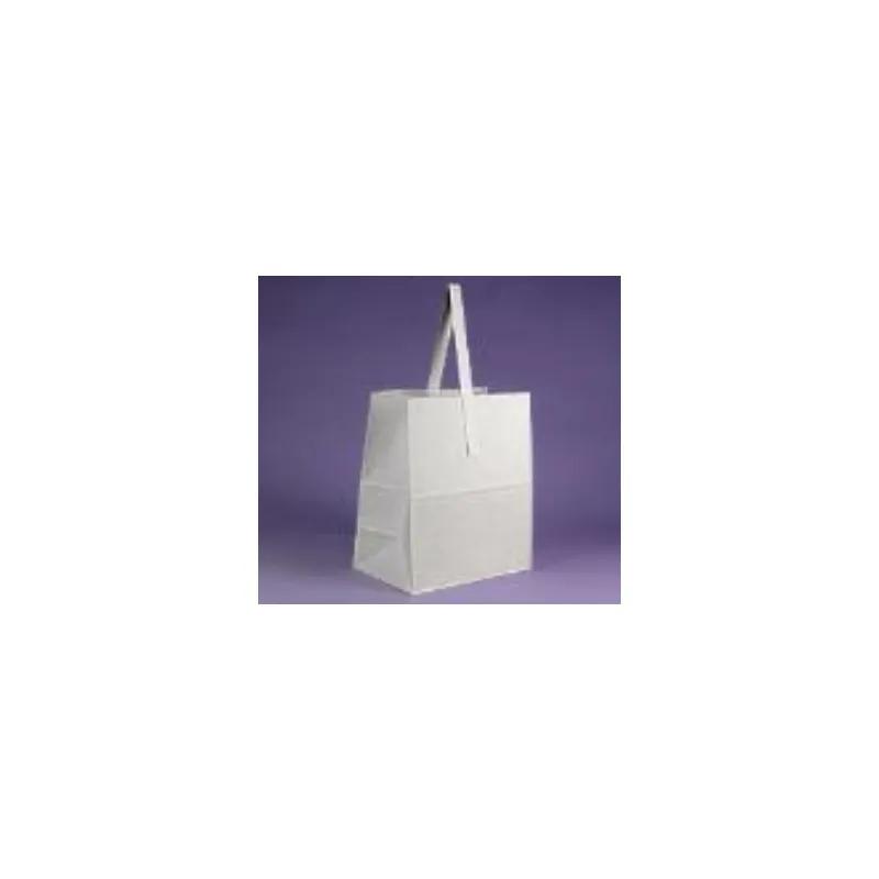 Sophomore Bag 8.125X4.25X6.75 IN White With Handle 500/Case