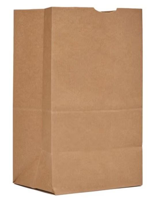 Bag 25 LB Extra Heavy Duty 500 Count/Bundle