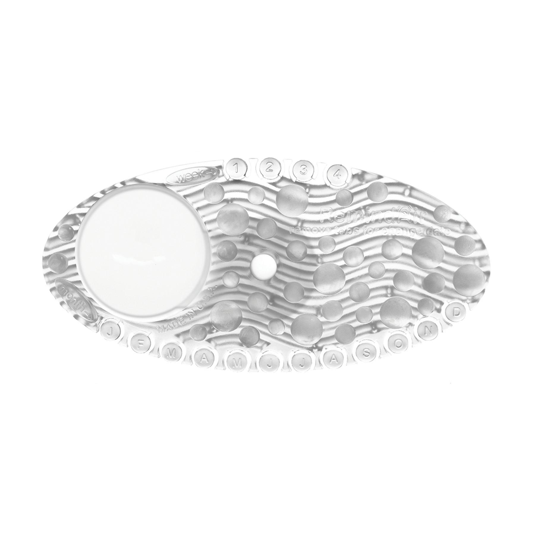 Curve Mango Clear EVA 10 Count/Box 6 Box/Case 60 Count/Case