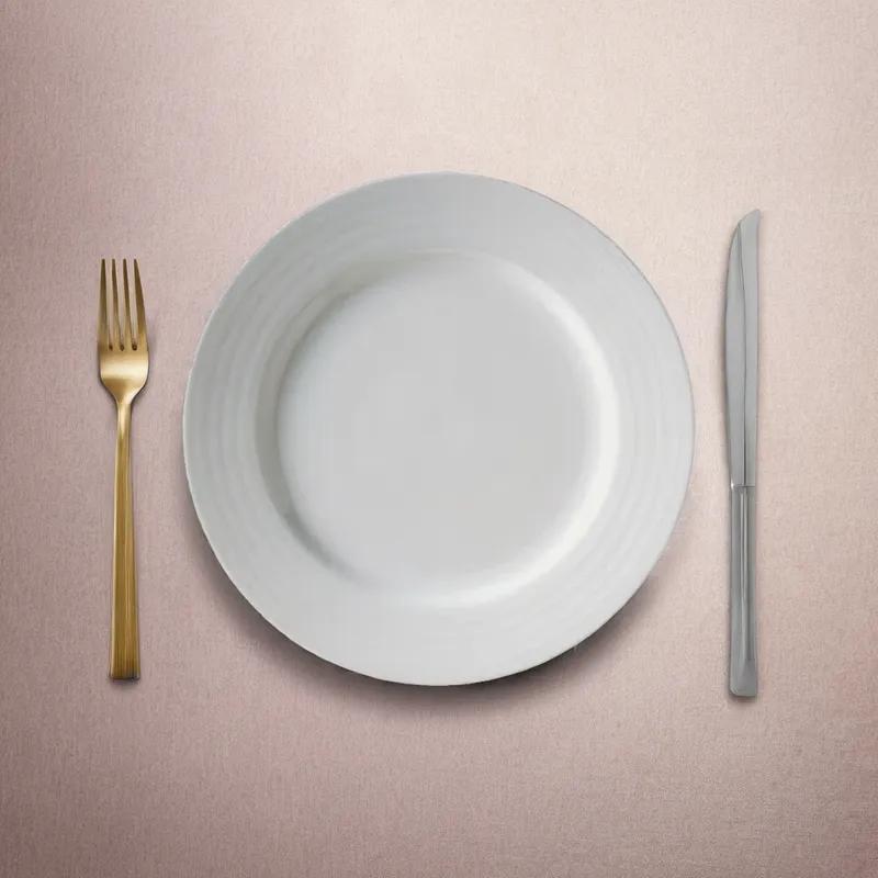 Crystal Bay Collection Plate 9.25 IN White Wide Rim 24/Case