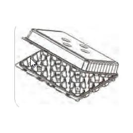 Cupcake Hinged Container With Dome Lid 8.5X5.5X2 IN 24 Compartment RPET Clear 50/Case