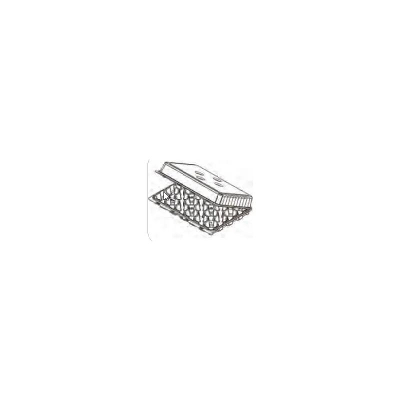 Cupcake Hinged Container With Dome Lid 8.5X5.5X2 IN 24 Compartment RPET Clear 50/Case