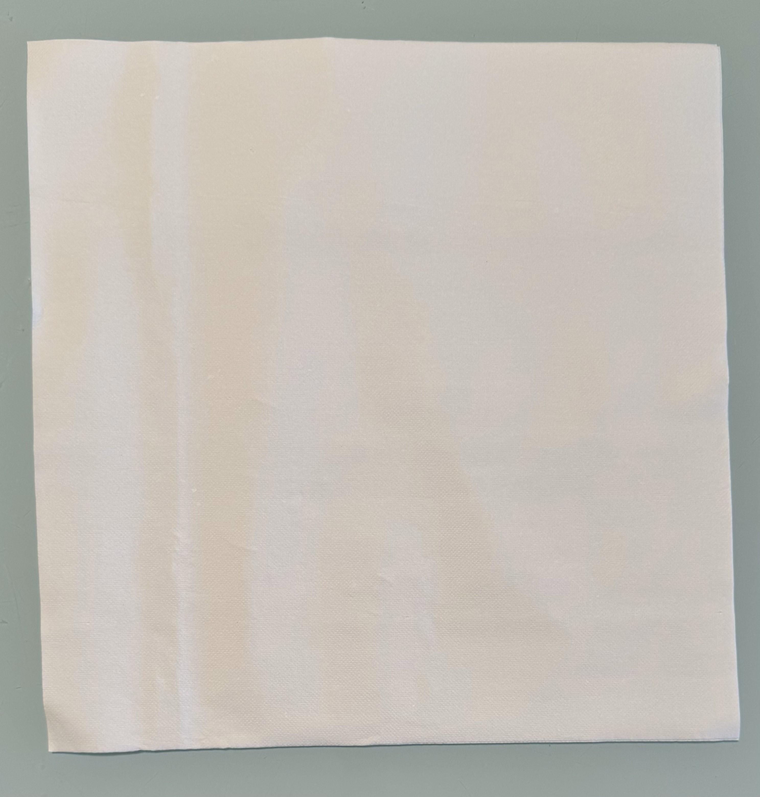 Victoria Bay Dinner Napkins 15X15 IN White Linen Paper Flat 1200/Case