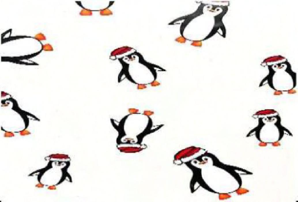 Cellophane Roll 40IN X100FT Clear Penguin 1/Roll