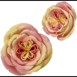 Gum Paste Cake Decoration Apricot Nectar Rose 10/Box