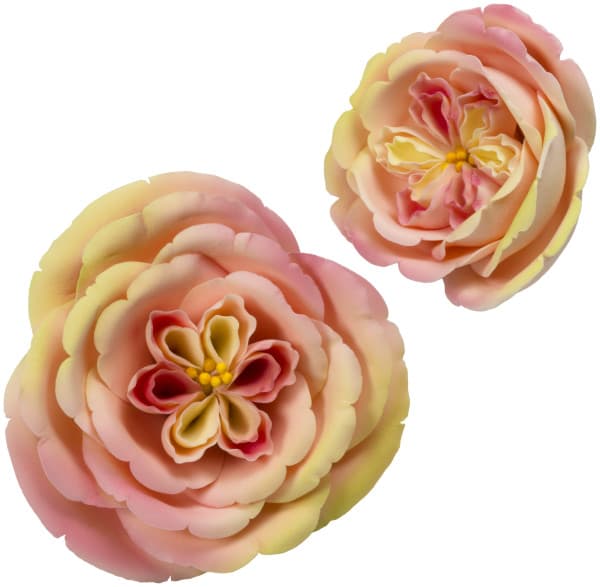 Gum Paste Cake Decoration Apricot Nectar Rose 10/Box