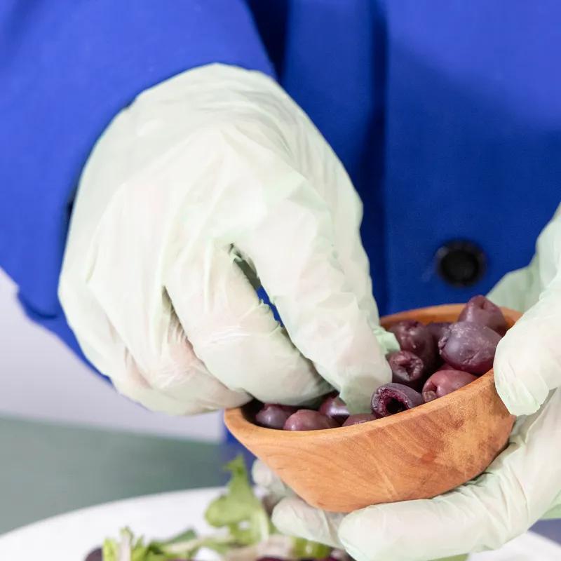 Planetgards® Gloves Large (LG) Translucent Green Powder-Free Touch Screen Compatible 250 Count/Box 4 Box/Case