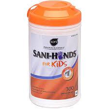 Sani Professional® Hands Hand Sanitizer Wipe Antibacterial 300 Sheets/Pack 6 Packs/Case 1800 Sheets/Case