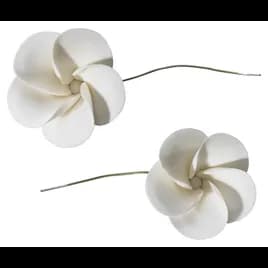 Gum Paste Decoration 1.5 IN Plumeria 24/Box