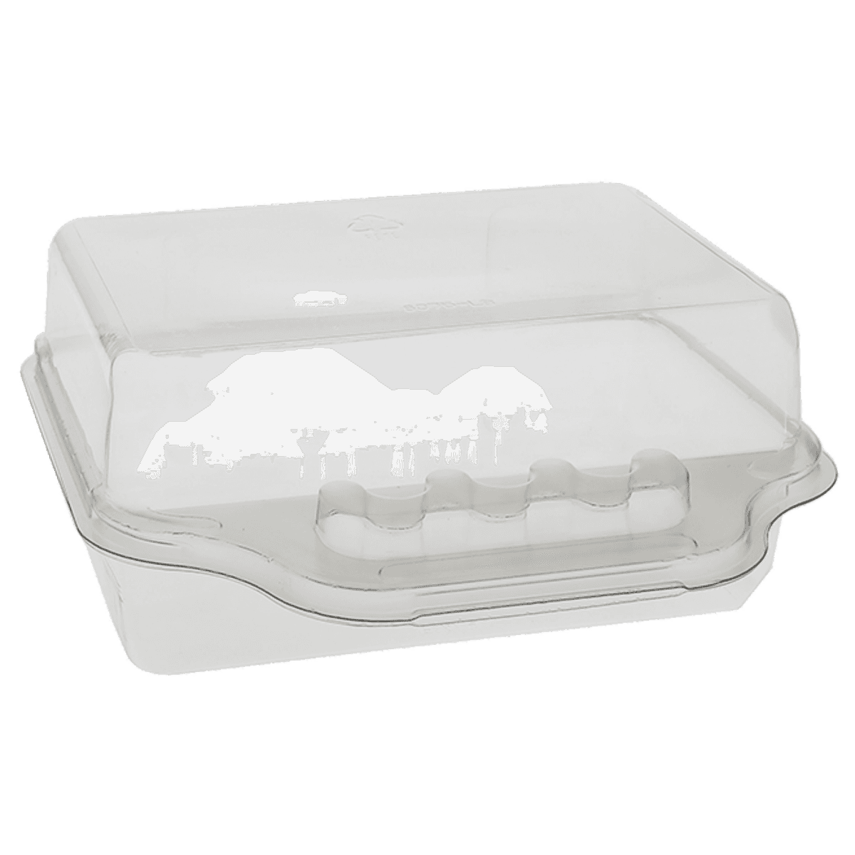 Lunch Take-Out Container Hinged PET Clear 150/Case