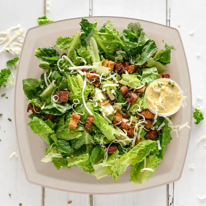 Dart® Plate 10X0.77 IN Pulp Fiber Natural 125 Count/Bag 4 Bags/Case 500 Count/Case