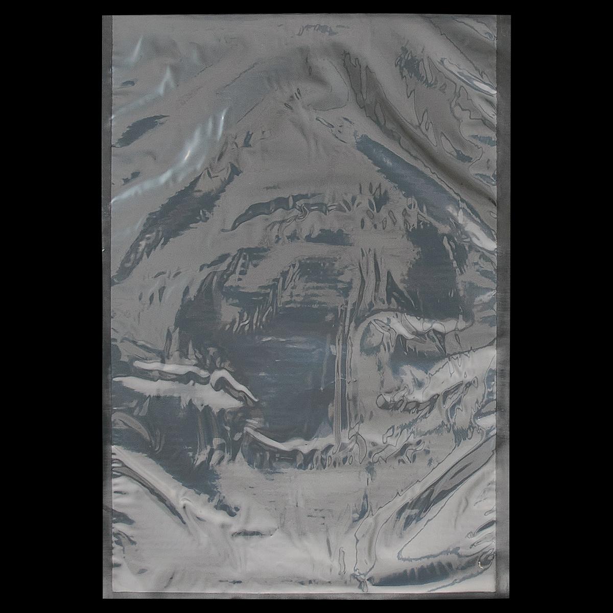 Bag 14X20 IN Plastic Vacuum 500/Case