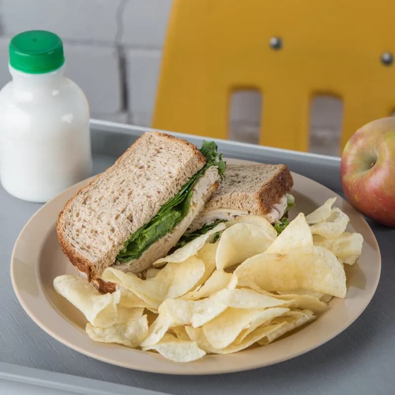 Carlisle Foodservice Products® Plate 10X0.84 IN PC Tan Narrow Rim 48/Case