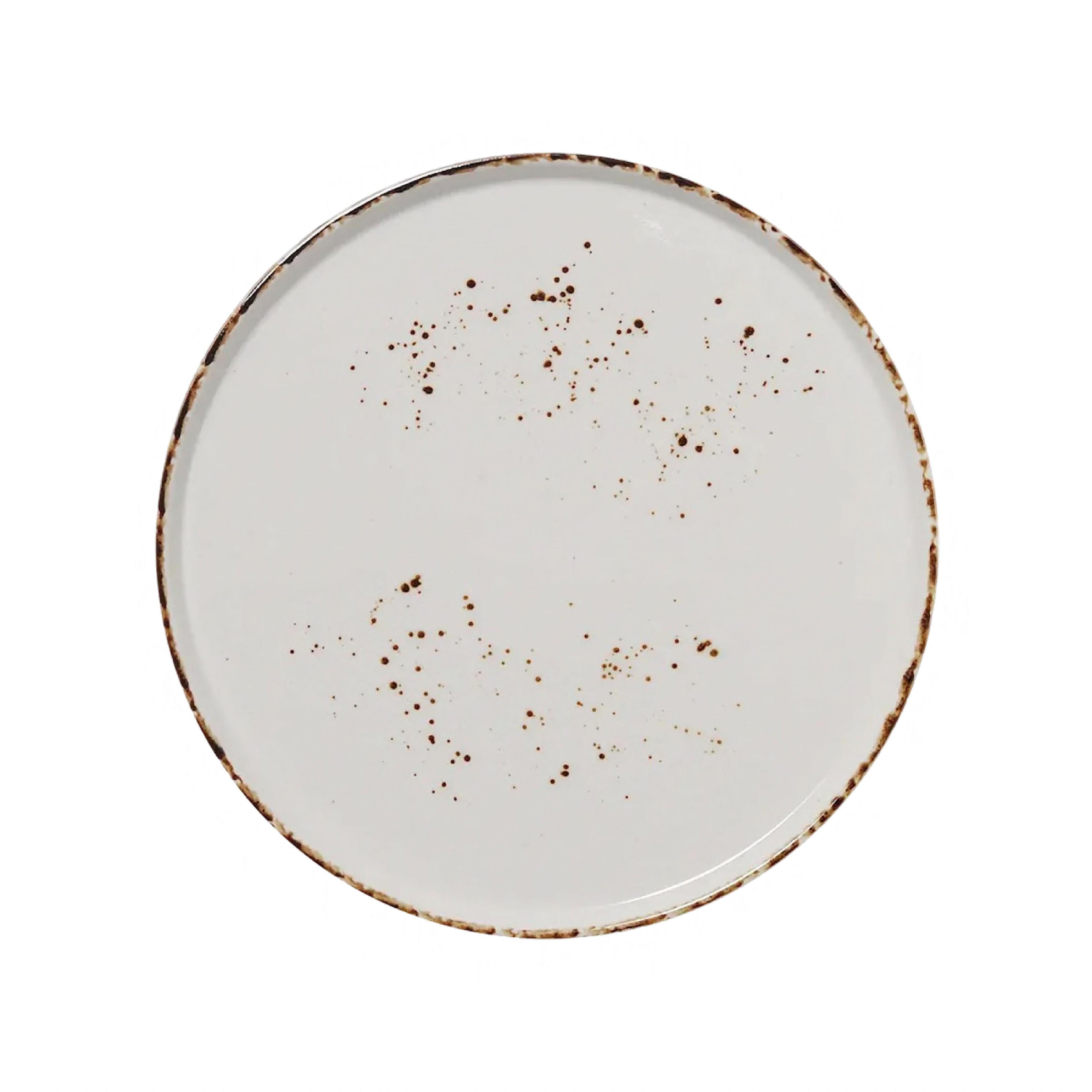 Splash Blanch Series Plate 11 IN Porcelain Round Stackable Dual Ovenable Dishwasher Safe 12/Case