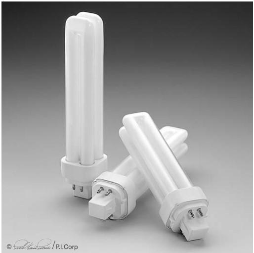 DULUX® CF26DD/E/835/ECO Light Bulb 6.5 IN Fluorescent Compact 4 Pin 26 Watt 50 Count/Case