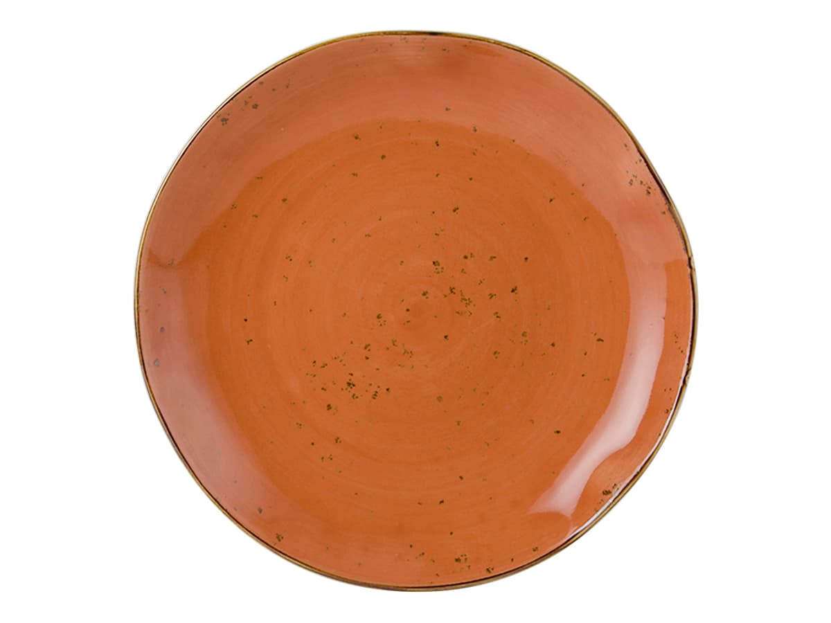 TuxTrendz Artisan Geode Plate 10.25 IN China Coral Round Fully Vitrified 12/Case