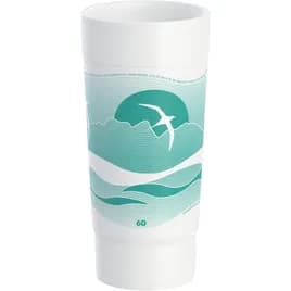 Dart® J Cup® 60 OZ EPS Multicolor Horizon® 8 Count/Pack 20 Packs/Case 160 Count/Case