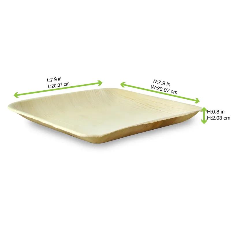 Plate 7.9X7.9X0.8 IN Palm Leaf Natural Square 25 Count/Pack 4 Packs/Case 100 Count/Case
