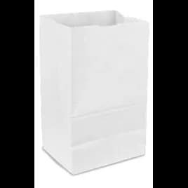 Bag 4.31X2.44X7.88 IN 2 LB Virgin Paper 30# White With Self-Opening (SOS) Closure 500/Bundle