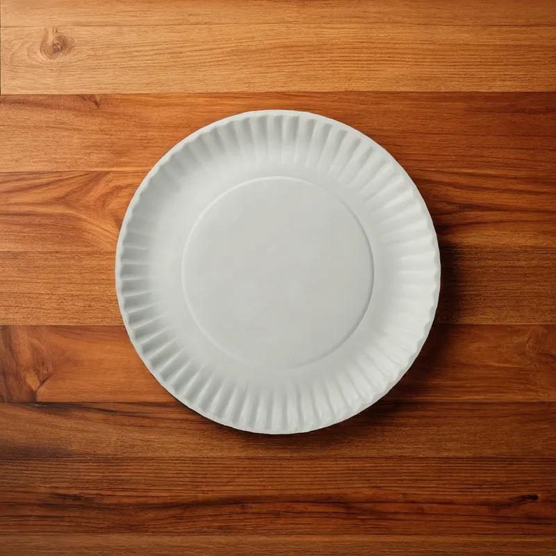 Plate 9 IN Coated Paper White 1000/Case