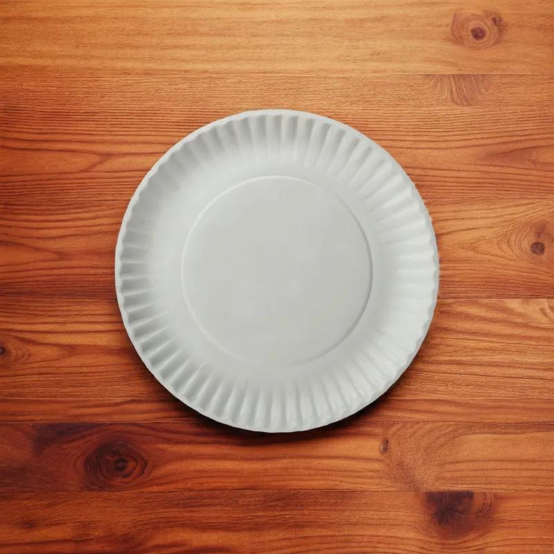 Plate 9 IN Coated Paper White 1000/Case