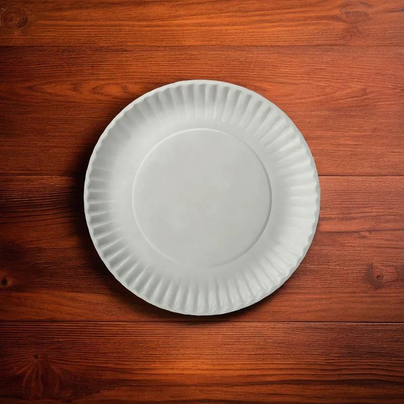 Plate 9 IN Coated Paper White 1000/Case