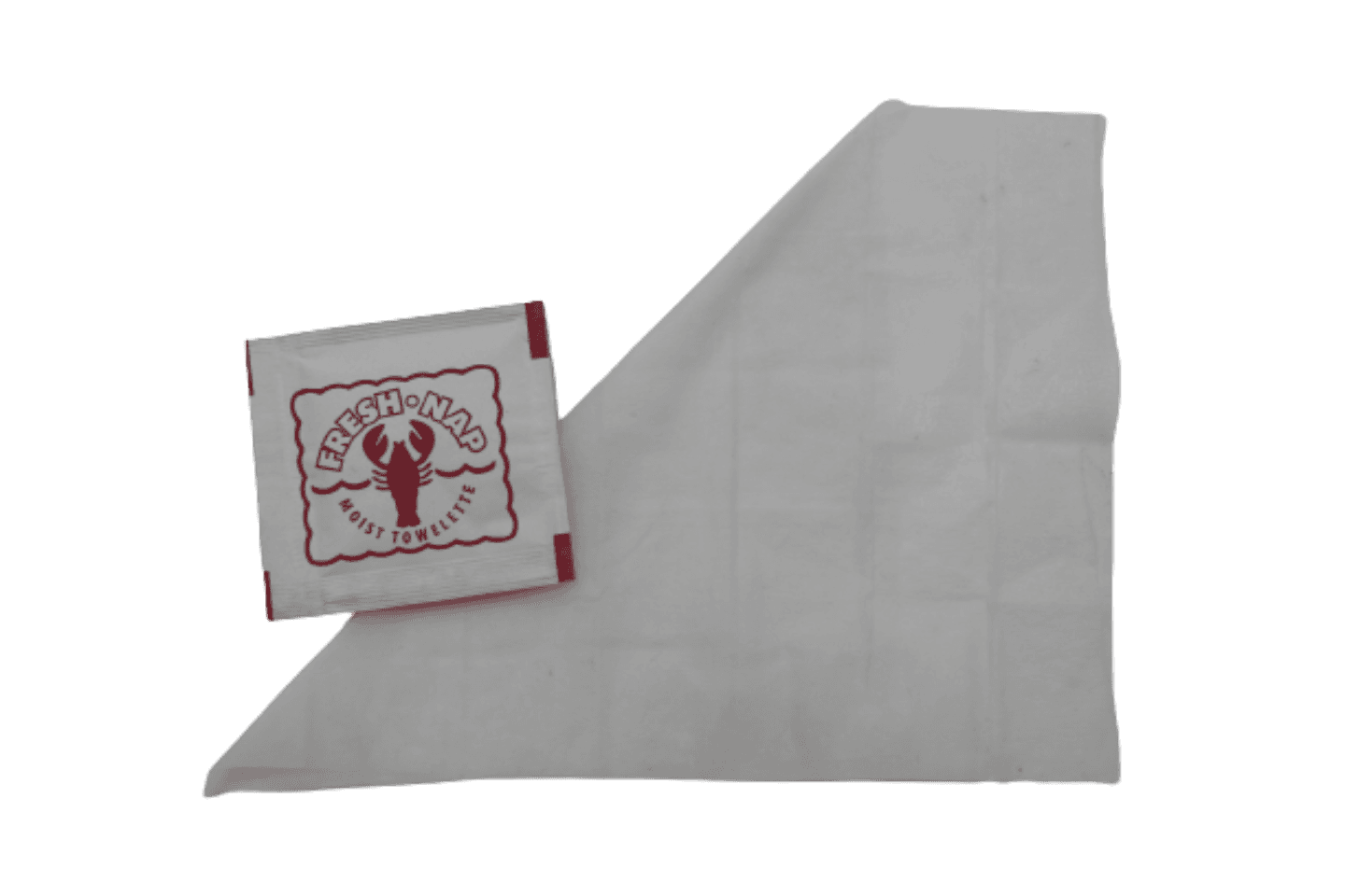 Fresh Nap Moist Towelette 4X7 IN 1000/Case