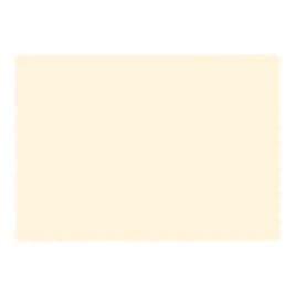 Placemat 9.5X13.5 IN Ecru Rectangle Paper 1000/Case