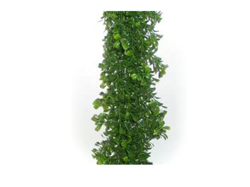 Boxwood Display Garland 6 FT 1/Each