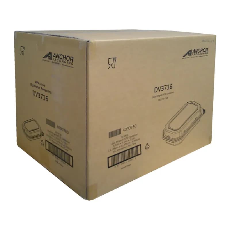 DeliView™ Take-Out Container Hinged With Dome Lid 5X8.46X2 IN PET Clear Deep 250/Case