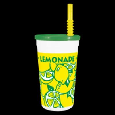Cup, Lid & Straw Combo Souvenir With Flat Lid 32 OZ Plastic Multicolor With Hole 300/Case