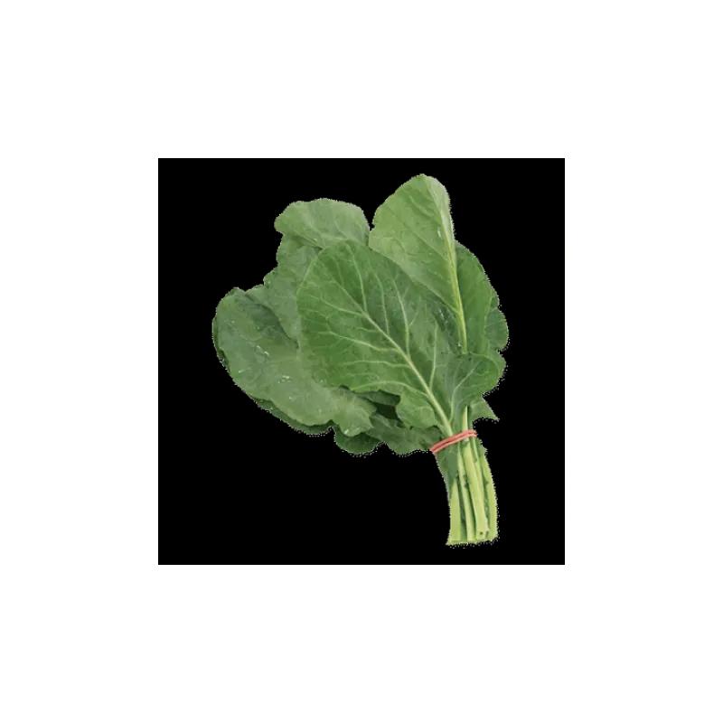 Rubber Band #16 2.5X0.0625 IN Rubber Latex Red 1/Bag