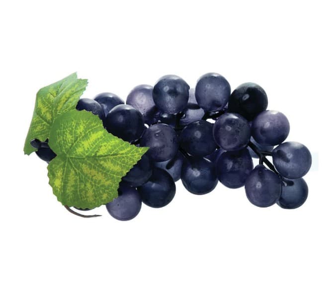 Grape Replica 7 IN Plastic Black Small Imitation 1/Each