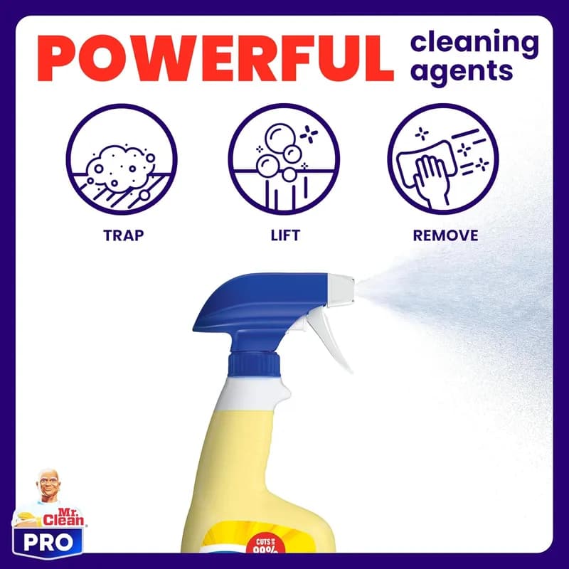 Mr. Clean® All Purpose Cleaner All Surface 1/Case