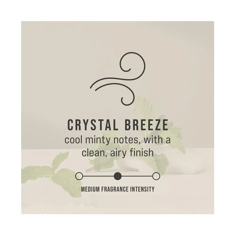 CirculAir 90™ Air Freshener Crystal Breeze Refill 90-Day Air Care System Passive 6/Case