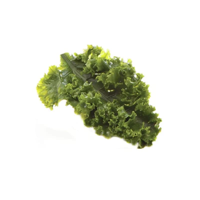 Kale Leaf Replica Garnishing 5.5X3 IN Plastic Green 1/Each