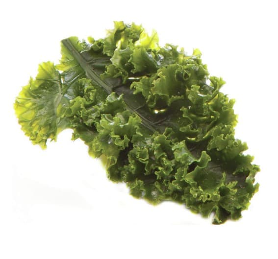 Kale Leaf Replica Garnishing 5.5X3 IN Plastic Green 1/Each