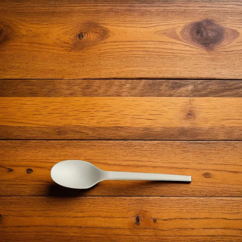 Spoon 6.5 IN CPLA 1000/Case
