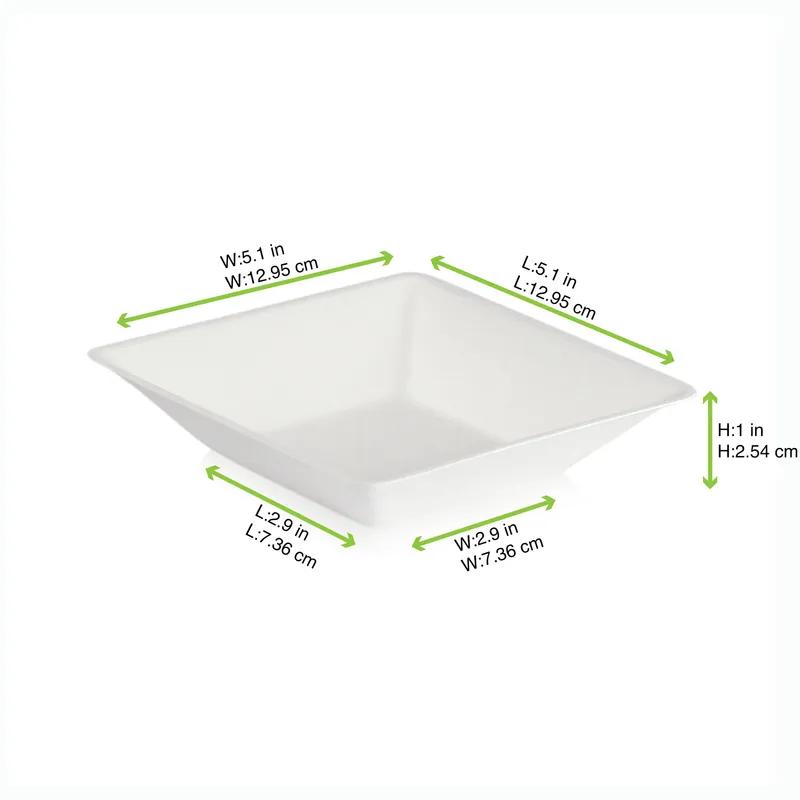 Plate 5.1X5.1X1.1 IN Sugarcane White Freezer Safe Grease Resistant 100 Count/Pack 6 Packs/Case 600 Count/Case