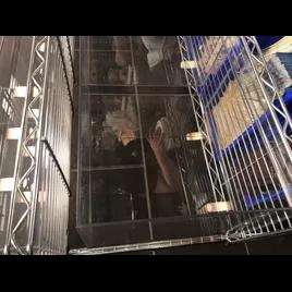 Sizzli Roll Food Storage Container Medium (MED) 1/Each