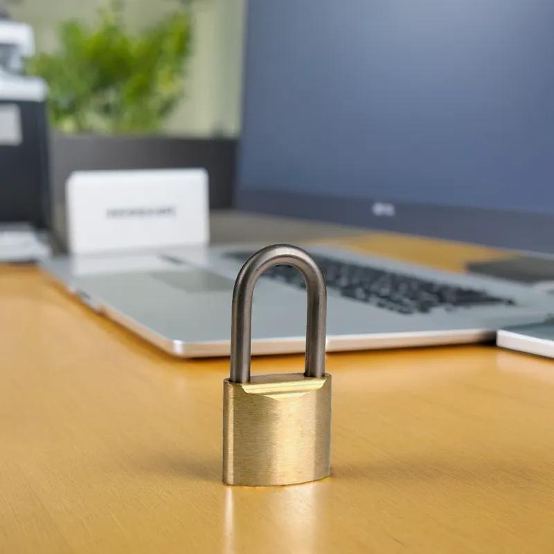 Padlock Brass 1/Each