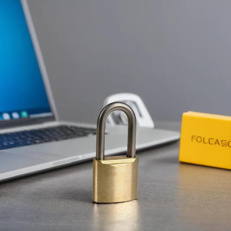 Padlock Brass 1/Each