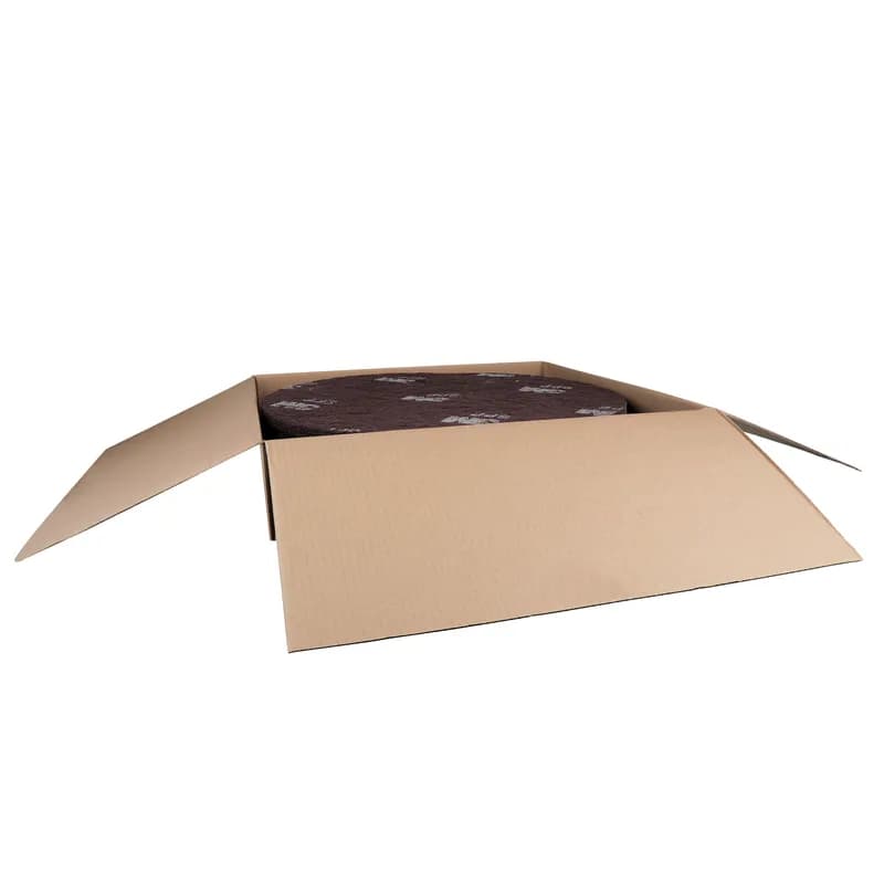 3M™ Scotch-Brite™ SPP Stripping Pad 20X0.3 IN Brown Non-Woven Fiber Nylon 175-600 RPM Center Hole 10/Case